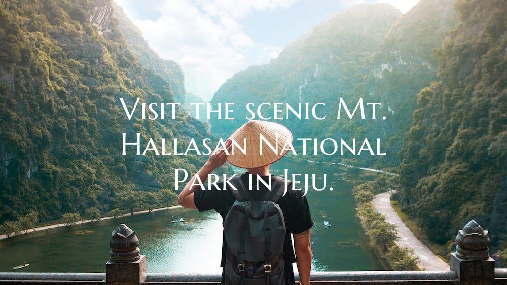 Visit the scenic Mt. Hallasan National Park in Jej...