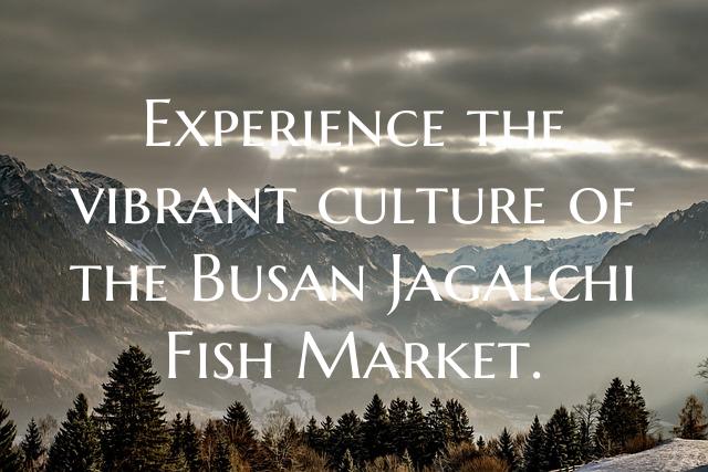 Experience the vibrant culture of the Busan Jagalc...