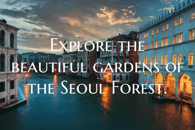 Explore the beautiful gardens of the Seoul Forest.