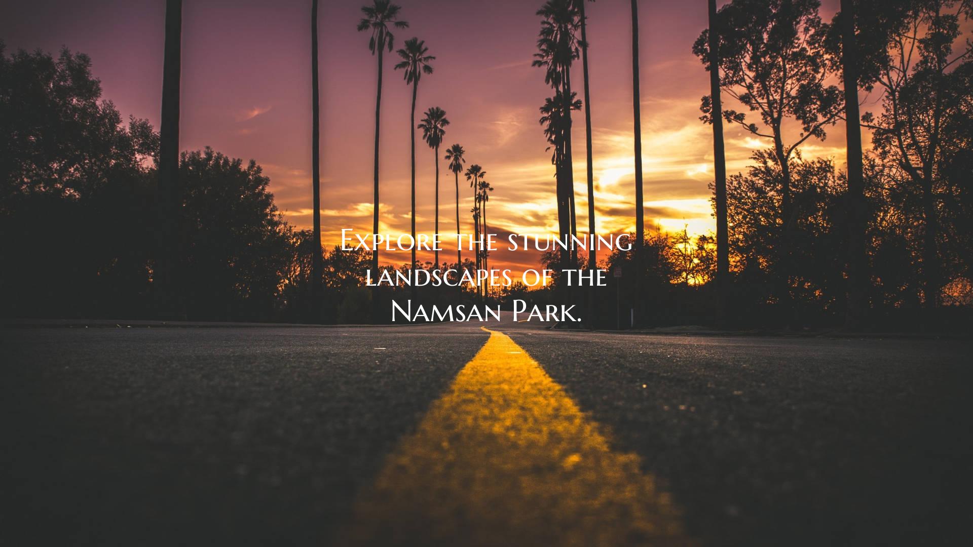 Explore the stunning landscapes of the Namsan Park...